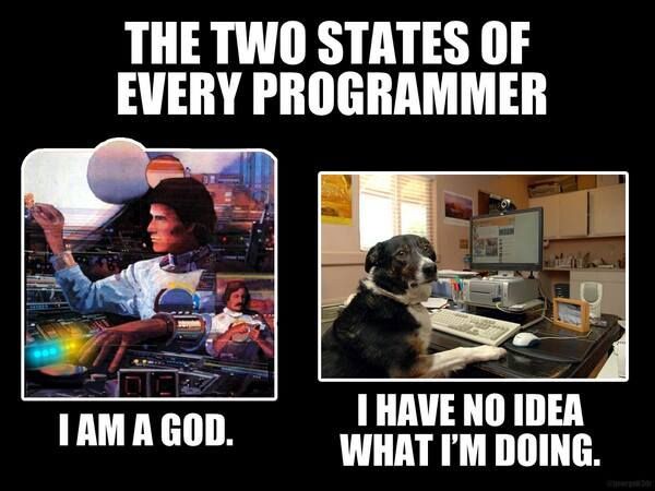 man being a god vs a dog trying to code